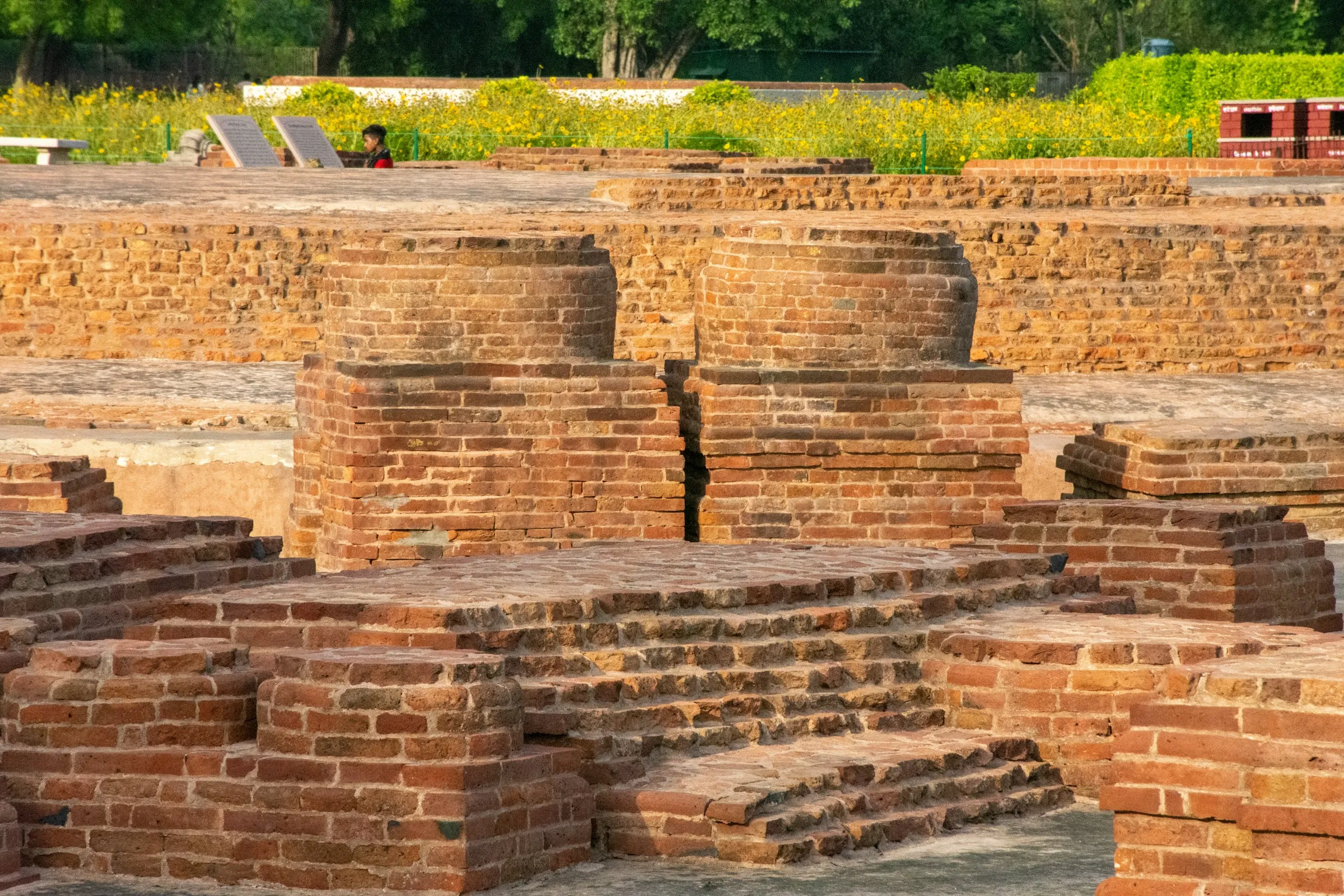 sarnath varanasi uttarpradesh india